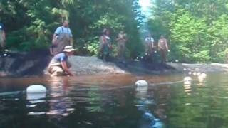 Seymour River Seine - Underwater Video