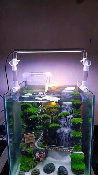 Aquascape Minimalis Dari Rumput Sintetis ukuran 30x30 #aquascape #aquariumairterjun