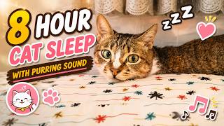 (8-HOUR loop) Cat purring sounds to help you fall asleep easily