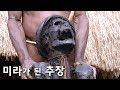 살아서도 죽어서도 마을의 수호자, 미라가 된 추장