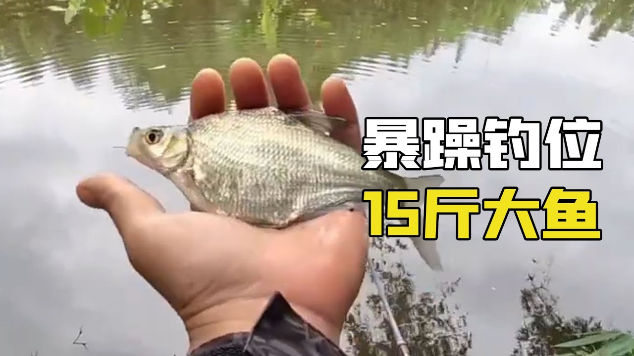 野釣怪異釣位的一局，15斤大魚開局炸鍋，震驚全場原因不可置信！