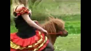 Flamenco Old Vid