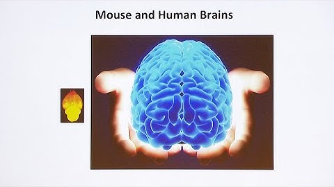 Modeling Human Neurogenetic Diseases in Mouse and Human Induced Pluripotent Stem Cells