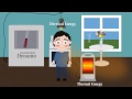 Energy Transformation: From Sunlight to Your Salad and Beyond