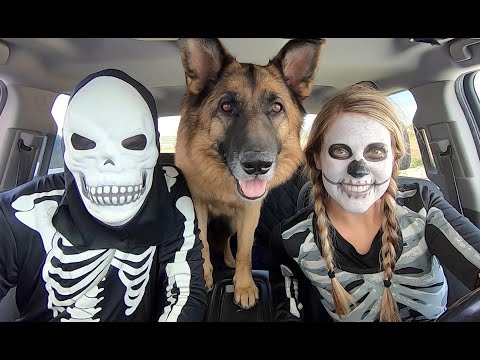 Skeleton Surprises T-Rex