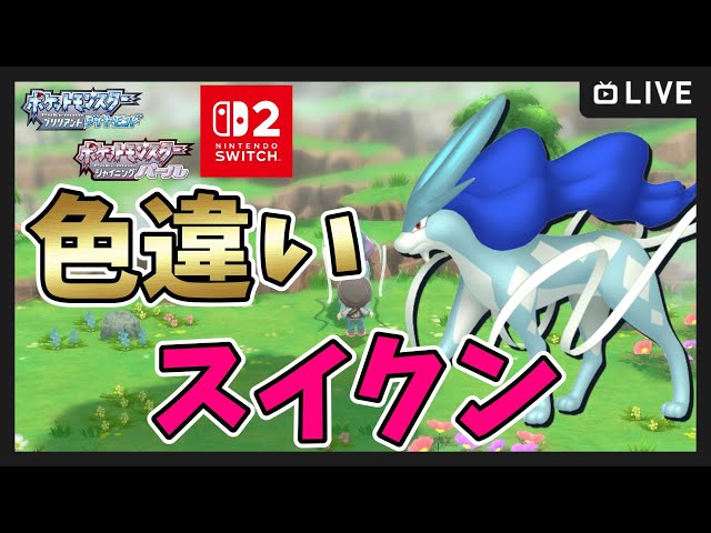BDSP】1100～Switch2で色違いスイクン厳選