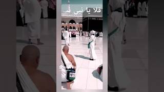 Download Lagu قلعہ يا نبینا - qalbi f il madi nah #allahuakbar #love #qalbifilmadinah MP3