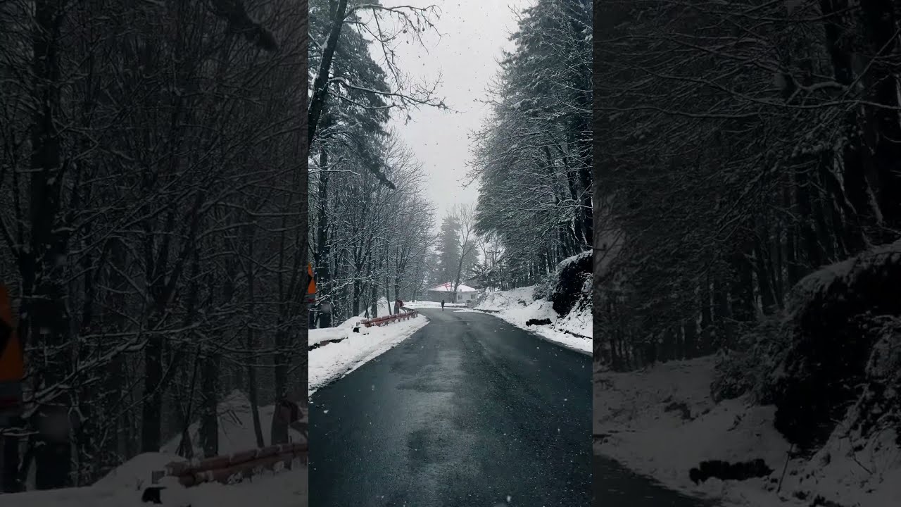 Watch This Unbelievable Transformation After Snowfall in Murree, Pakistan!