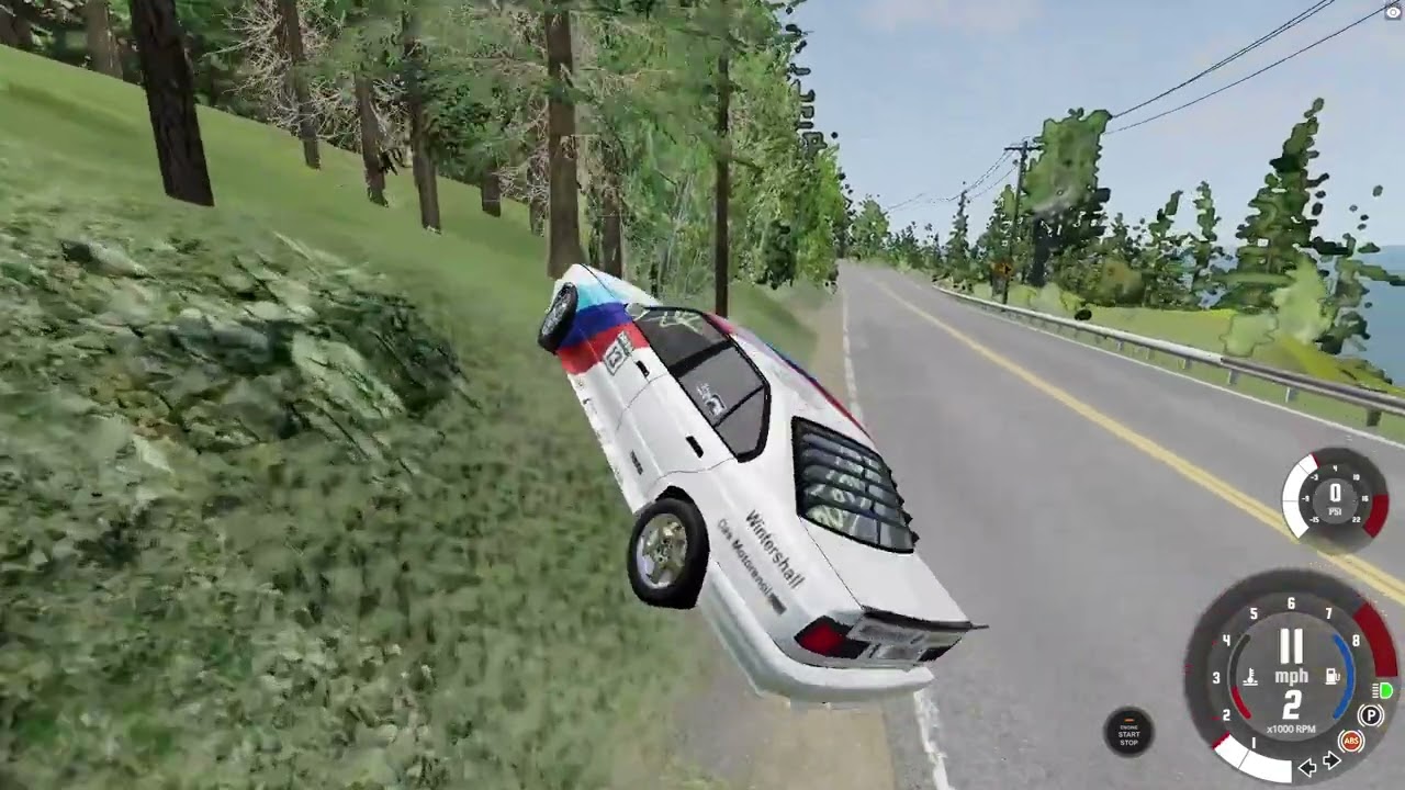 nodecat thinks hes a real race car driver