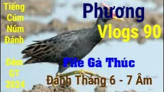Tiếng Cúm Núm Đánh Đêm 2024 ( File Gà Thúc ) Đánh Tháng 6...7 Âm Lịch _ Phương vlogs 90
