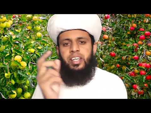 Maturity Indices of fruits and vegetables - YouTube
