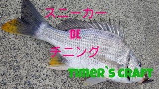 川でチニング、キビレ釣る。