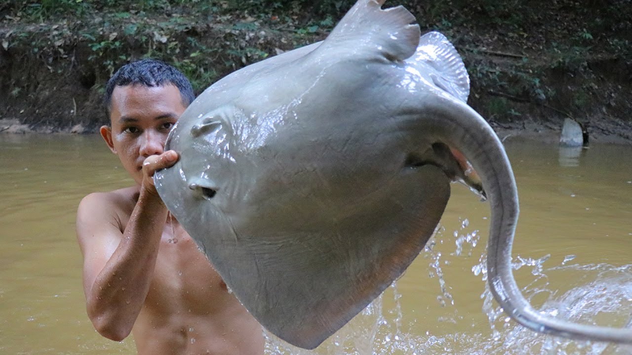 Amazing Big Ray Fish Cooking Recipe in forest - YouTube