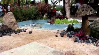 Sentosa Flowers 2013 Held At Palawan Beach - Year Of The Snake