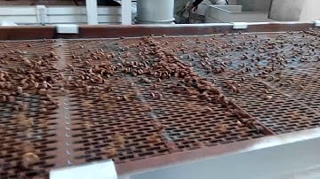 Pine Nut Grading Machine