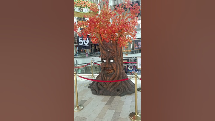 magical tree #viralvideo #funny #funnymemes #trendingnow #nature #comdeymemes #shorts #foryou #love