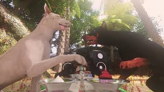 Happy Birthday Lindsey