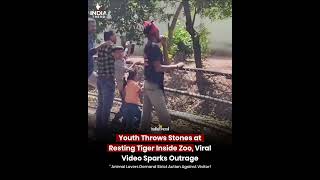 A shocking video from Surat s sarthana Nature park zoo viral#moment