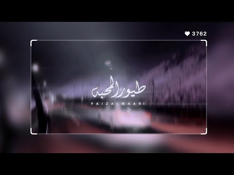 علي با وزير  طيور المحبه  جديد  2026