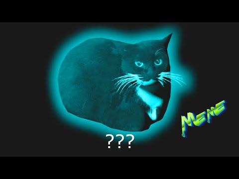 5 Maxwell The Cat Sound Variations in 50 Seconds
