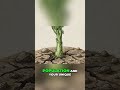 Smart Seed Saving: Grow Stronger Plants Every Year! #shorts