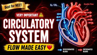 Human Circulation Made EASY ⚡ Heart & Blood Flow Explained | 3d Animated | Best for NEET