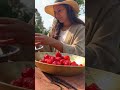 Strawberry Harvest in Himachal Pradesh | Strawberry Jam | Strawberry Recipe | Strawberry Farm