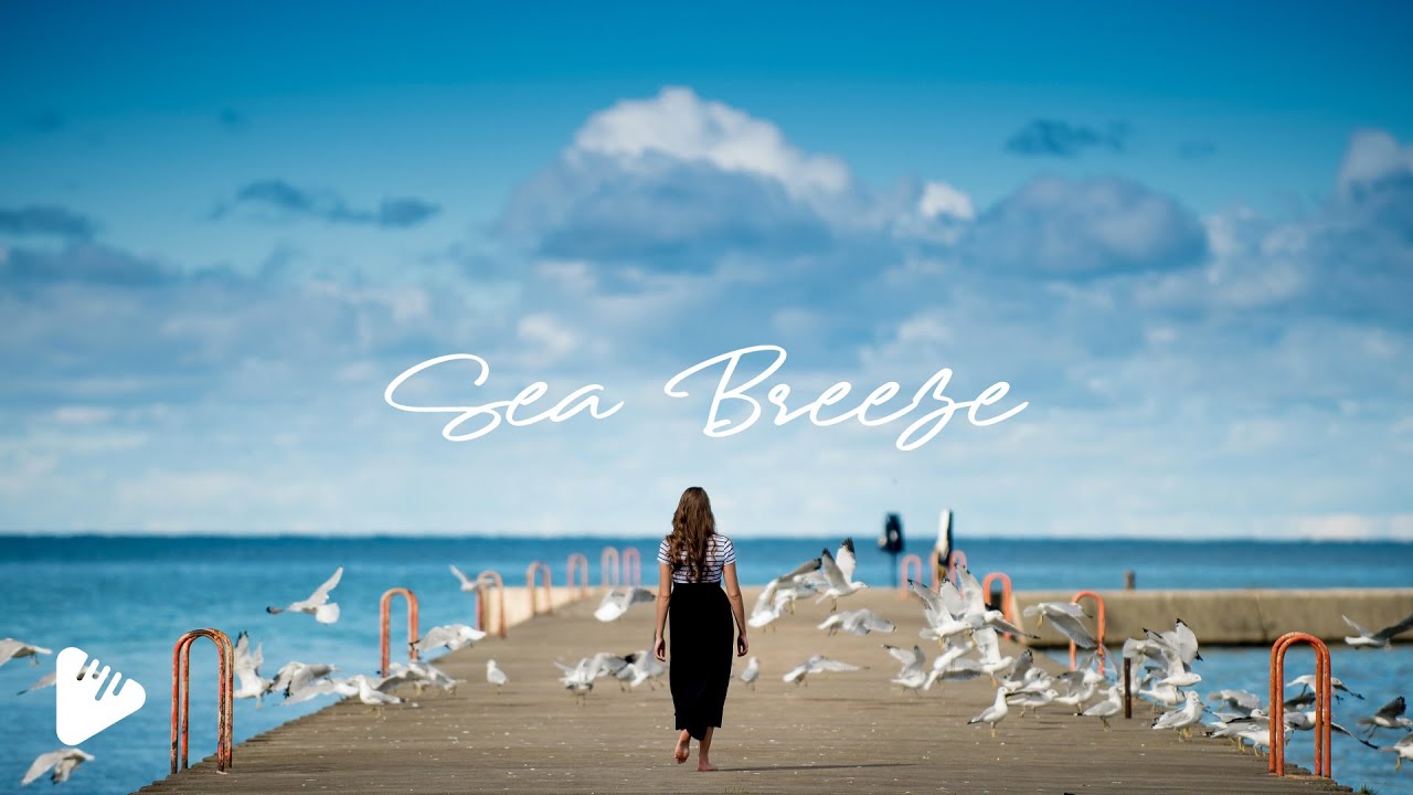 Watch Sea Breeze | Meditative Ambient & Soundscape | SoundAudio on YouTube Watch Sea Breeze | Meditative Ambient & Soundscape | SoundAudio on YouTube