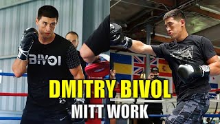 Dmitry Bivol Mitt Work