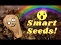 Seeds Are Smarter Than We Think!!