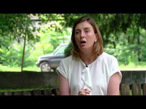 qimiuri wamloba aziuri farosanas winaaGmdeg - xarvezebze saubrobs mosaxleooba