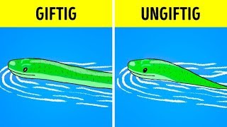 Was Du Tun Solltest, Wenn Du Einer Schlange Begegnest