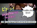 Positive Grid Sparkで遊ぼう！ 前編（プリセットの音色で遊ぶの回）