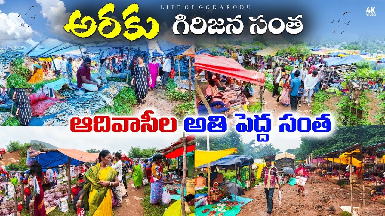 అరకు గిరిజన సంత || Araku Tribal Market || Araku Girijana Samtha #village #market #tribal #araku