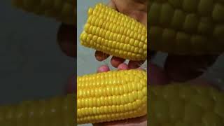 Corn Recipe/Sweet corn ? chaat recipe | easy and tasty shorts corn chaat food recipe