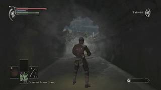 Demons Souls (Original) - Bow Only run