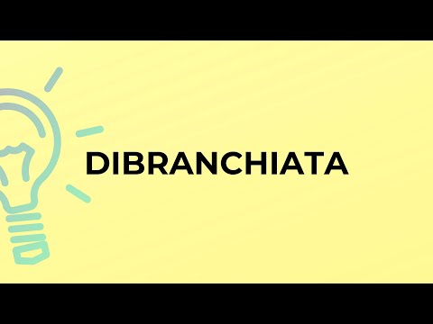 فيديو: ماذا تعني كلمة tetrabranchiate؟