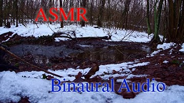 ASMR-Binaural-Water Stream