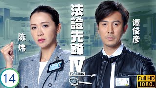 TVB IV 2020