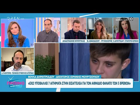Βούλα Δημητριάδου- Δικηγόρος