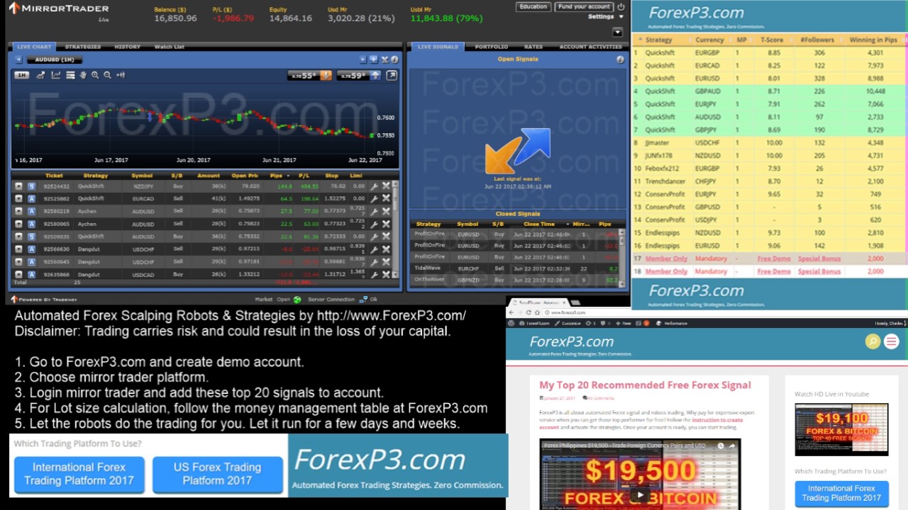 Mirror Trader Review After 4 Months 19 000 Highest Record - 