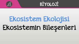 Ekosistem Ekolojisi - Ekosistemin Bileşenleri screenshot 4