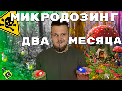 МУХОМОР ДВА МЕСЯЦА МИКРОДОЗИНГА