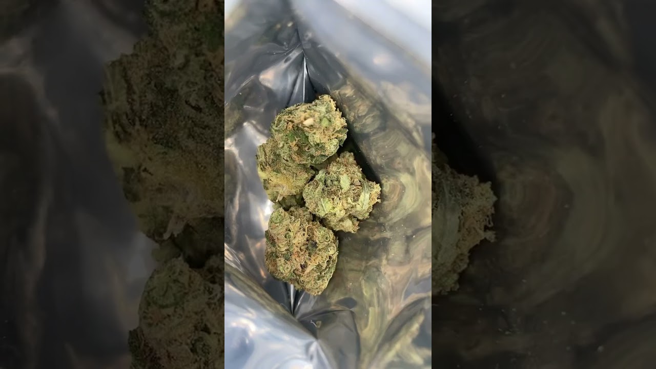 Durban Poison by culta 💨🤩🔥