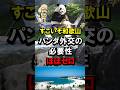 すごいぞ和歌山、パンダ外交の必要性ほぼゼロ #白浜町 #アドベンチャーワールド #経済効果 #中国 #二階王国 #二階伸康