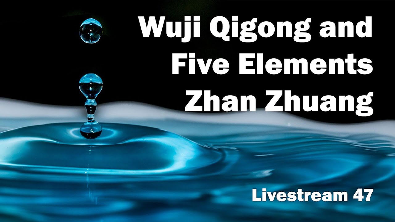 Wuji Qigong and Five Elements Zhan Zhuang ☯ - Livestream 47 - YouTube