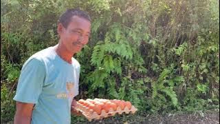 BELASAN TRUK LOGISTIK MELUNCUR!! RAFFI AHMAD BERI BANTUAN UNTUK KORBAN KEBAKARAN DI SUMBA! - GO SPOT