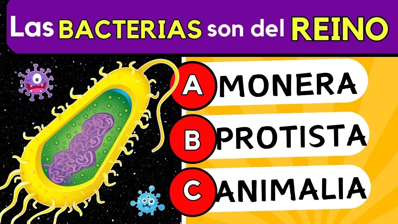 🧠 Quiz de Biología: ¿A Qué Reino Pertenecen Estos Organismos? 🌿🍄Los 5 REINOS de la naturaleza 🦠🌱