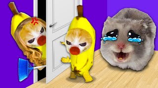 Banana Cat's Big Heart: Saving Sad Hamster, Facing Mom's Wrath! 🐱 | Baby Banana Cat Compilation 😿