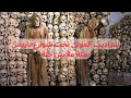 ماذا تعرف عن الكاتاكومب ستة ملايين هيكل عظمي في سراديب الموتى تحت شوارع باريس